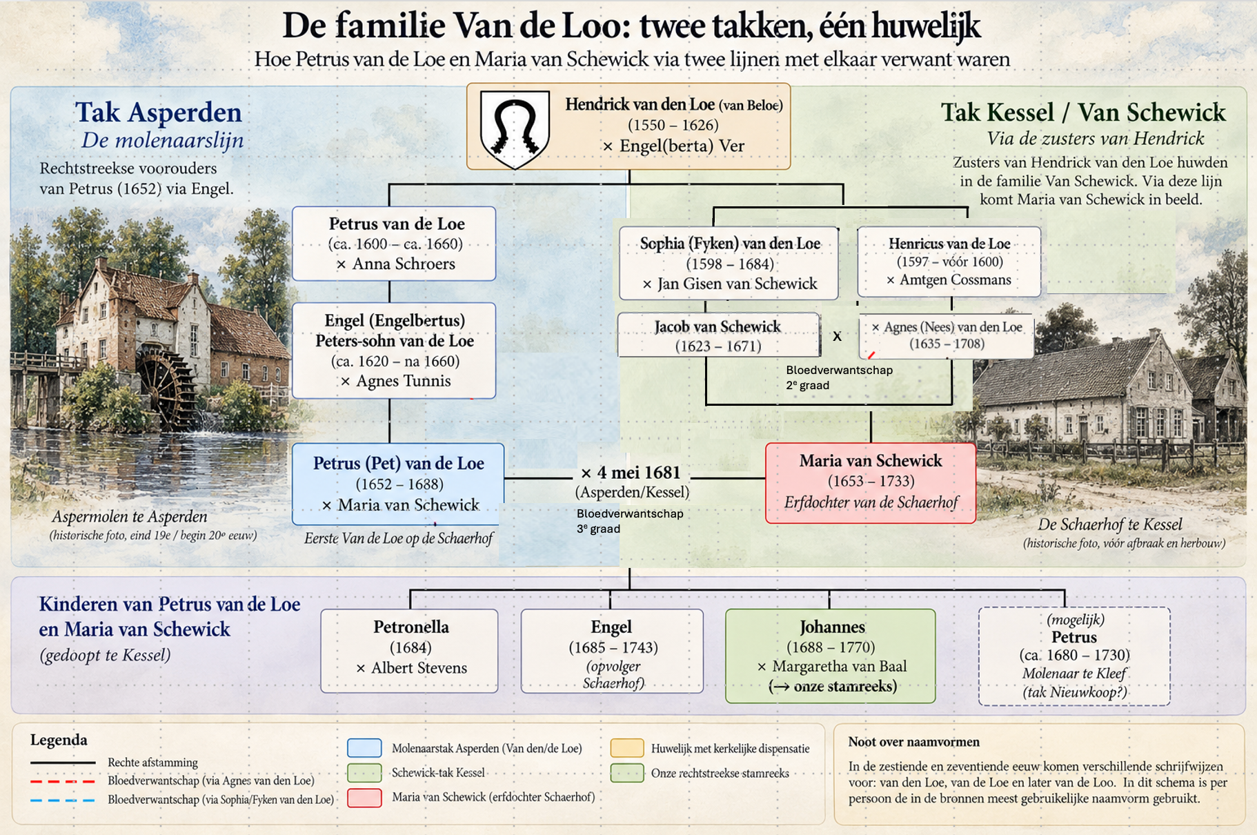 Schema van de twee verwante Van-de-Loe-takken die via huwelijken met de familie Van Schevick samenkomen bij Petrus van de Loe en Maria van Schevick